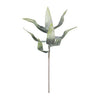 Kalalou CLX3100 Botanica #3100