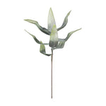 Kalalou CLX3100 Botanica #3100