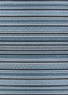 Couristan Cape Cobija 2' X 3'7" Rectangular Indoor/Outdoor  Contemporary Rug