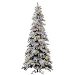 4' Flocked Kodiak Spruce Artificial Christmas Tree Multi-Colored LED Lights