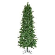 7' x 36