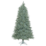 Vickerman 12' Colorado Blue Spruce Slim Artificial Christmas Tree Unlit