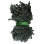 Vickerman A164817 9' X 18" Colorado Blue Spruce Artificial Christmas Garland Unlit