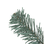 Vickerman A164817 9' X 18