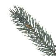 Vickerman A164817 9' X 18