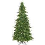 Vickerman  12' Mixed Country Pine Slim Artificial Christmas Tree Unlit