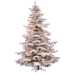6.5' Flocked Sierra Fir Artificial Christmas Tree Clear Dura-Lit lights