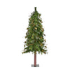 Vickerman A801960 6' Mixed Country Alpine Artificial Christmas Tree Unlit