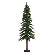 Vickerman A805150 5' x 25