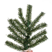 Vickerman A805150 5' x 25