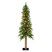 Vickerman A805151LED 5' x 28