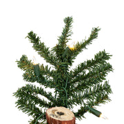 Vickerman A805151LED 5' x 28