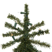 Vickerman A805151LED 5' x 28