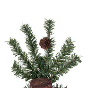 Vickerman A807260 6' Alpine Artificial Christmas Tree Unlit