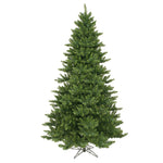 Vickerman  5.5' Camdon Fir Artificial Christmas Tree Unlit