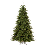 Vickerman 7.5' Camdon Fir Artificial Christmas Tree Clear Dura-lit Lights