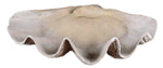 Uttermost 19800 Clam Shell Bowl