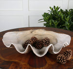 Coastal Polyresin Decorative Bowl – White Clamshell Centerpiece