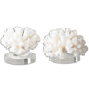 Uttermost 19910 Hard Coral Sculptures, S/2