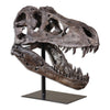 Uttermost 19948 Tyrannosaurus Sculpture