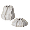 Uttermost 17973 Urchin Textured Ivory Vases, Set of 2