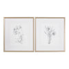Uttermost 33649 Botanical Sketches Framed Prints S/2