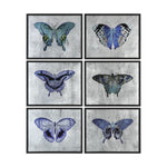 Uttermost 55030 Vibrant Butterflies Prints S/6