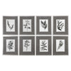 Uttermost 33658 Sepia Gray Leaves Prints S/8