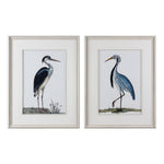 Uttermost 33668 Shore Birds Framed Prints S/2
