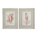 Uttermost 41578 Coral Sea Feathers Prints S/2