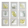 Uttermost 33682 Verdant Impressions Leaf Prints, S/9