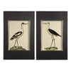 Uttermost 41586 Birds On The Shore Prints, S/2