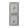 Uttermost 41593 Plant Study Framed Prints Set/2