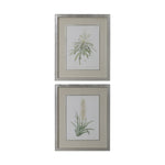 Uttermost 41593 Plant Study Framed Prints Set/2