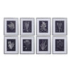 Uttermost 33686 Coral On Navy Framed Prints Set/8