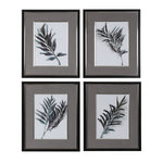 Uttermost 33687 Eucalyptus Leaves Framed Prints Set/4