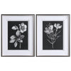 Uttermost 33694 Black & White Flowers Framed Prints, Set/2