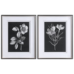 Uttermost 33694 Black & White Flowers Framed Prints, Set/2