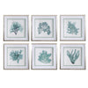 Uttermost 33704 Coral Reef Framed Prints, Set/6