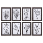 Uttermost 33696 Classic Botany Framed Prints, Set/8