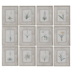 Uttermost 33697 Spring Florals Framed Prints, Set/12