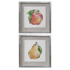 Uttermost 41599 Designer Fruits Framed Prints, Set/2