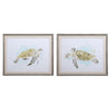 Uttermost 33720 Sea Turtle Study Watercolor Prints, Set of 2