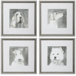 Uttermost 33722 Modern Dogs Framed Prints, Set of 4