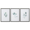 Uttermost 33723 Simple Sage Watercolor Prints, Set of 3