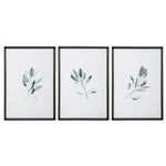 Uttermost 33723 Simple Sage Watercolor Prints, Set of 3