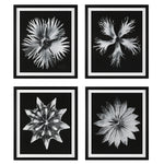 Uttermost 41427 Contemporary Floret Framed Prints, Set of 4