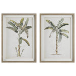 Uttermost 41446 Banana Palm Framed Prints, Set/2