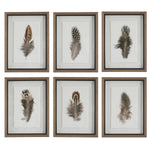 Uttermost 41460 Birds Of A Feather Framed Prints, Set of 6
