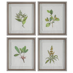 Uttermost 41461 Wildflower Study Framed Prints, Set of 4
